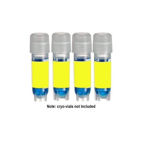 Direct Thermal Cryo-Tags, 1.50 x 0.75", Yellow, 750/rl